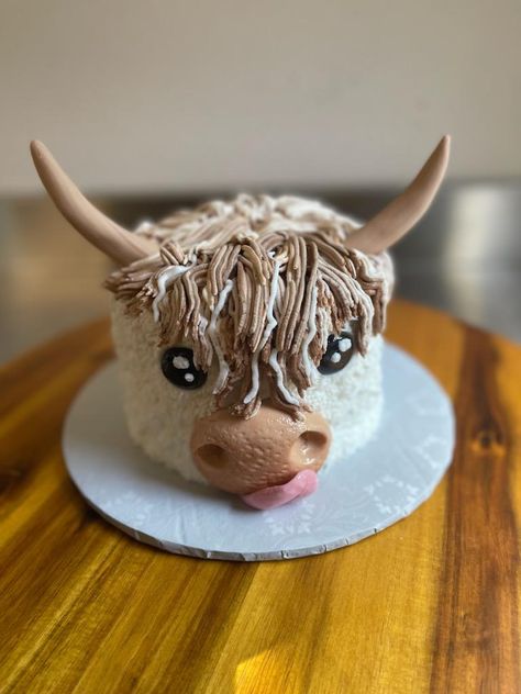 Cow Treats, Bull Cake, Highland Cow Cake, Cow Birthday Cake, Cow Cake, 7th Birthday Cakes, Cow Cakes, Sunflower Party, Cupcake Cake Designs