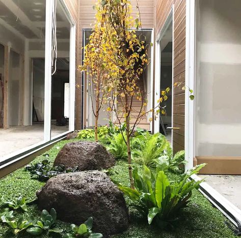 Testimonial - Plant Tiles Australia Indoor Atrium, Plant Tiles, Tiles Australia, Atrium Ideas, Denmark House, Atrium Garden, Courtyard Plants, Indoor Courtyard, Pocket Garden