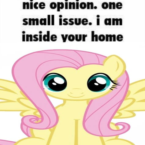 Mlp Funny, Mlp Memes, My Lil Pony, My Little Pony Characters, My Little Pony Drawing, Mlp Pony, My Little Pony Pictures, Silly Images, Pony Drawing