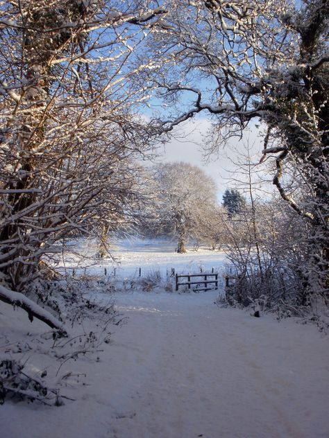 Cullybackey, 18th December 2010 Evermore Winter, Snowy Vibes, Ireland Aesthetic, Snow Landscape, Beautiful Snow, Snowy Landscape, Irish Culture, Winter's Tale, Winter Sunset