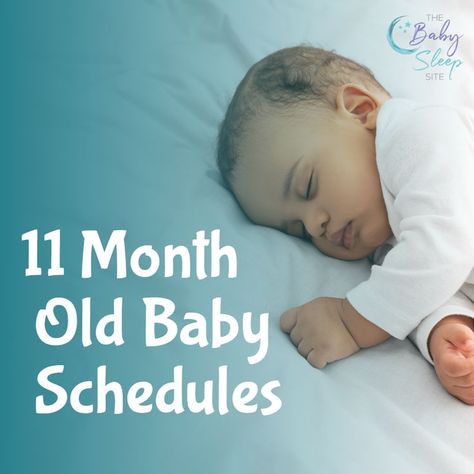 11 Month Old Baby Feeding and Sleep Schedule 11 Month Old Schedule, 11 Month Old Baby, Baby Schedule, Formula Feeding, Sleep Consultant, Toddler Sleep, Sleep Schedule, Sleep Tips, Baby Feeding