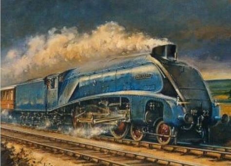 Mallard Train, Modern Life Is Rubbish, Transport Pictures, Steam Art, Steam Railway, Buses And Trains, Train Art, Train Birthday, Rare Birds