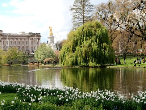 Parks In London, St James Park London, St James Park, St James' Park, Royal Park, London History, Red Bus, London Park, Phone Booth