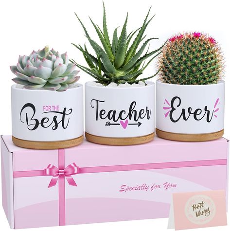 BEST TEACHER GIFTS FOR WOMEN: Our Best Teacher Ever succulent pots gift set make great teacher appreciation gifts for Thanksgiving Day, Christmas, Birthday, Teachers' Day. Best teacher gifts for preschool teacher, kindergarten teacher, daycare teacher, music teacher, art teacher, new teacher, science teacher, math teacher, english teacher,dance teacher,history teacher, Spanish teacher.Perfect gifts for teacher, tutor, instructor and counsellor.THE BEST TEACHER EVER GIFT NOT INCLUDE PLANTS Cute Succulent Pots, Teacher Appreciation Week Gifts, Unique Teacher Appreciation Gifts, Potted Mums, Best Mum Ever, Teachers Appreciation Week Gifts, Ceramic Succulent Pots, Aunt Birthday Gift, Painted Bamboo