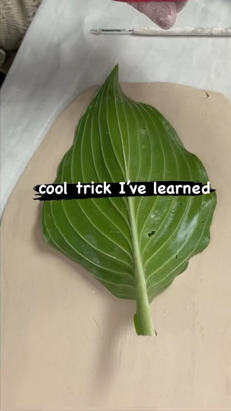 This Hosta leaf has a thick spine which makes an impression into the soft ceramic clay difficult. This trick solves the problem of the… | Instagram Air Dry Clay Leaf Bowls, Pottery Serving Dishes, Leaf Pottery, Ceramic Leaf, Decor Pottery, Ginko Leaf Design, Clay Leaves, Garden Ceramics, Handmade Pottery Plates