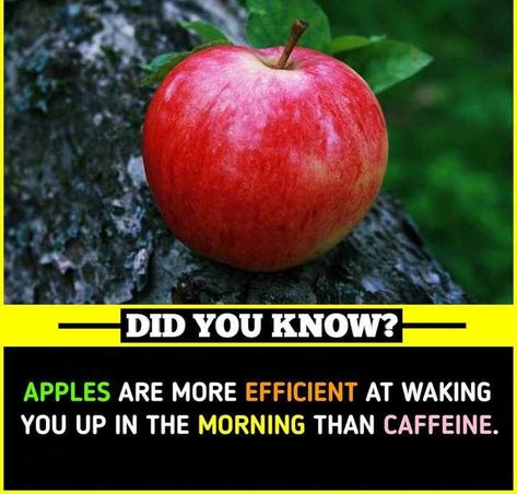 Apples are more efficient at waking you up in the morning than caffeine. Amazing Facts In English, Animal Language, Friendship Memes, Baby Cartoon Drawing, Model Diet, Facts About World, True Interesting Facts, Unique Facts, Interesting Facts About World