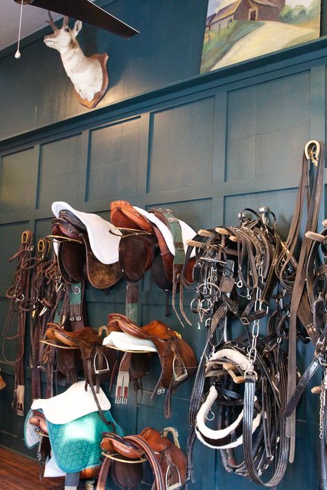 English saddles and tack.  Love the blue/grey wall. Castle Stables, Small Horse Barns, Horse Tack Rooms, Equestrian Stables, Equestrian Barns, English Saddles, Stable Style, Tack Rooms, Dream Horse Barns