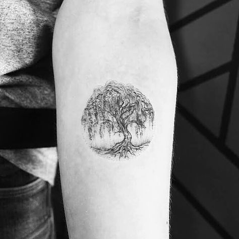 Tree Tatoos, Ww Tattoo, Tooth Tattoos, Celtic Turtle, Pa Tattoo, Weeping Willow Tattoo, Birch Tree Tattoos, Tree Tattoo Forearm, Willow Tree Tattoos