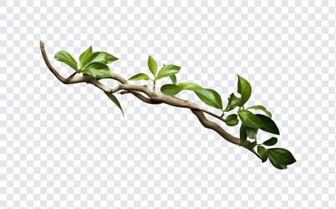 Realistic Twisted Jungle Branch PNG Fish Emoji, Tattoo Elements, Twisted Branches, Cartoon Love Photo, Red Hair Woman, Mockup Downloads, Cartoons Love, 3d Icons, Graphic Design Projects