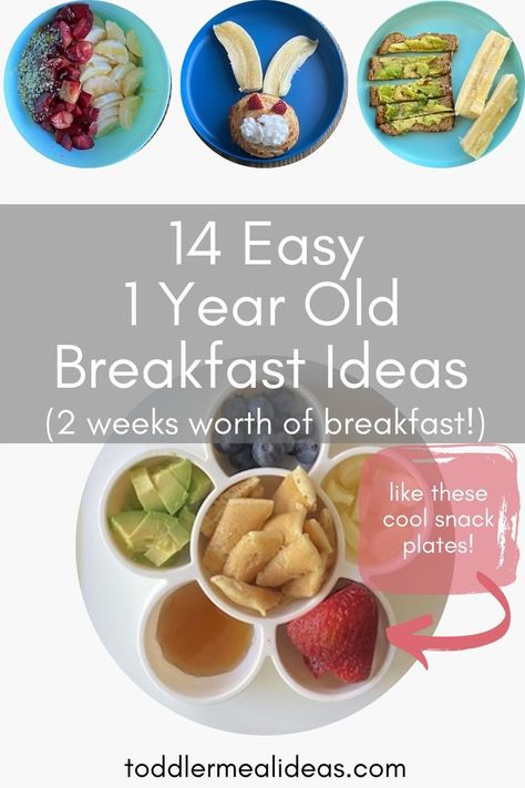 14 Easy 1 year old breakfast ideas for busy mornings. Make these hearty and healthy toddler breakfasts on a weekday or a busty weekend morning. What my 1 year old is eating and loving for breakfast. 2 weeks worth of toddler breakfast ideas. One Year Old Breakfast Ideas, One Year Old Foods, Blw Breakfast Ideas, Easy Toddler Lunches, Healthy Toddler Breakfast, Toddler Meal Ideas, Kid Friendly Breakfasts, Baby Breakfast, Easy Toddler Meals