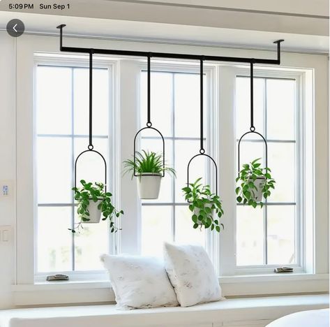 Bay Window Plant Display, Bay Window Plants, Slide Out Storage, Window Ceiling, Herb Garden Wall, Hanging Orchid, Garden Railings, Atrium Design, Pan Kitchen