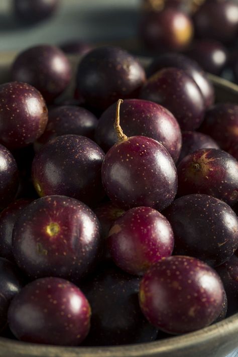 Muscadine Grapes Benefits Muscadine Benefits, Scuppernong Recipes, Muscadine Grapes Recipes, Muscadine Grape Recipes, Grape Diet, Muscadine Grapes Benefits, Muscadine Preserves, Muscadine Grape Juice Recipe, Muscadine Recipes