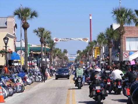 Motorcycle Rides Central Florida | The Best Routes & Roads - REVER Bike Week Daytona, Ocala National Forest, Daytona Beach Bike Week, Beach Bike, Ormond Beach, Visit Florida, Scenic Byway, Bike Week, Riding Motorcycle