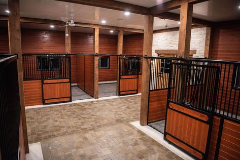 Dog Daycare Design, Dog Boarding Ideas, Hotel Pet, Luxury Dog Kennels, Boarding Kennels, Dog Boarding Facility, Dog Boarding Kennels, Dog Kennel Designs, Horse Barn Ideas Stables