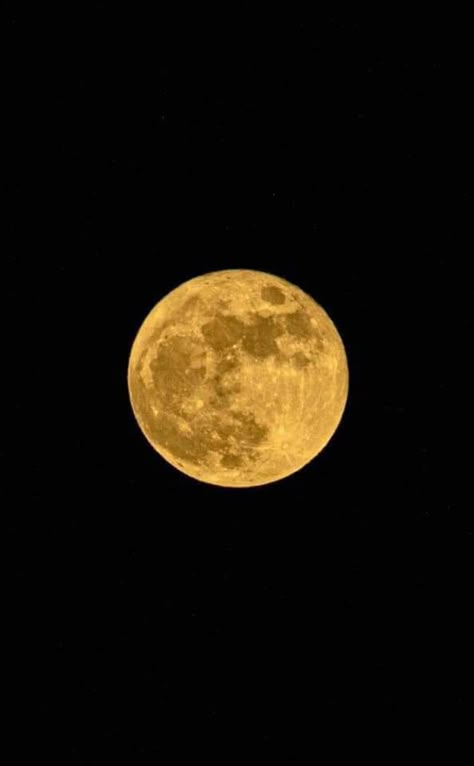 Brown Phone Theme, Full Moon Photos, Moon Eyes, Night Mood, Pfp Wallpapers, Yellow Moon, Moon Luna, Moon Images, Moon Photos