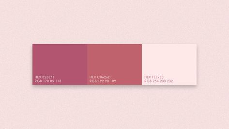 Di Castro - Clothing Store no Behance Fashion Advertising, Clothing Store, Color Palette, Branding, Color