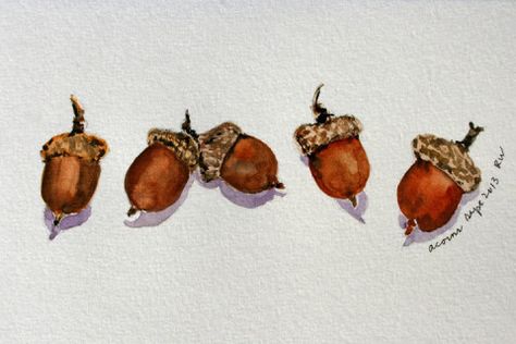 Watercolor sketch of five acorns Rosemary's Blog watercolor artisit WA Acorn Watercolor, Mighty Oaks, Fall Images, Original Watercolor Art, Fall Watercolor, Fall Wall Art, Giclée Print, Natural Style, Painting Tips