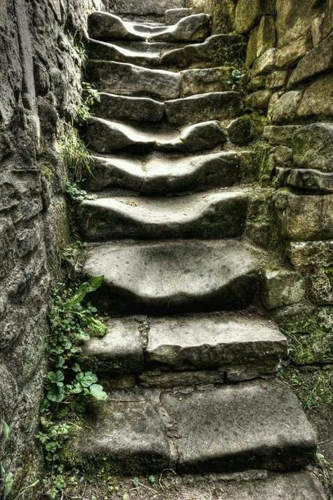 Old worn out stairs Foto Scale, Stairways To Heaven, Stone Steps, Stone Stairs, Take The Stairs, Stair Steps, One Step At A Time, Garden Pathway, Stairway To Heaven