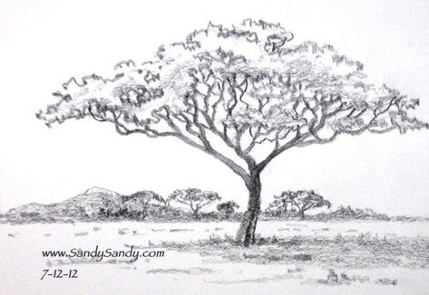 Drawing Everyday Plants And Animals Sketch Coloring Page Tree Pencil Sketch, African Trees, Contemporary Wildlife Art, Africa Trees, Animals Sketch, Drawing Everyday, Drawing Plants, Tree Mosaic, African Tree