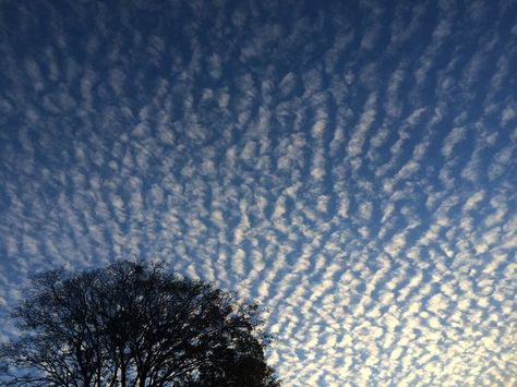 Rob Sheridan, Sky Gazing, Geometry In Nature, Cumulus Clouds, Wind Direction, Clouds Photography, Ipad Wallpaper, Sky Aesthetic, Beautiful World