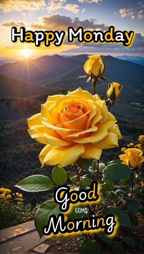 Happy Monday Flowers, Happy Good Morning Images, Good Morning Happy Monday, Good Morning Flowers Rose, Good Morning Spiritual Quotes, Flowers Images, Rose Flower Wallpaper, Good Morning Beautiful Pictures, Beautiful Morning Messages