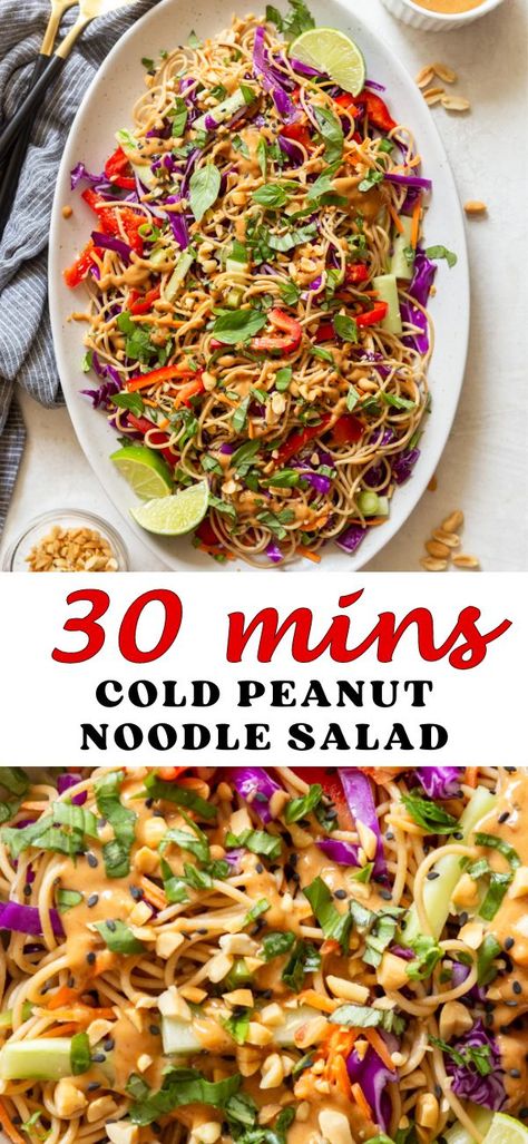 This Cold Peanut Noodle Salad is the perfect make ahead dish for hot summer days. Bring this healthy vegan peanut noodle salad to a picnic, BBQ, potluck, or just make it for yourself for meal prep. Makes a great side dish or light lunch, add your choice of protein to make it a full meal. Cold Peanut Noodles, Cold Noodles Recipes, Peanut Noodle Salad, Bbq Potluck, Noodle Salad Cold, Bbq Salads, Make Ahead Salads, Whole Wheat Spaghetti, Picnic Bbq