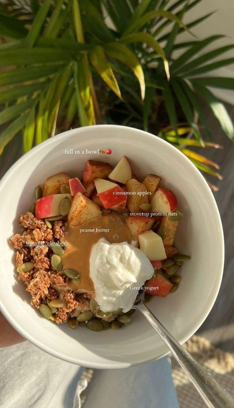 Apple Yogurt Bowl, Oatmeal Apple Cinnamon, Yogurt Bowl Recipe, Heathy Eats, Yogurt Breakfast Bowl, Yogurt Oatmeal, Oatmeal Apple, Oat Bowls, Meal Planning Menus