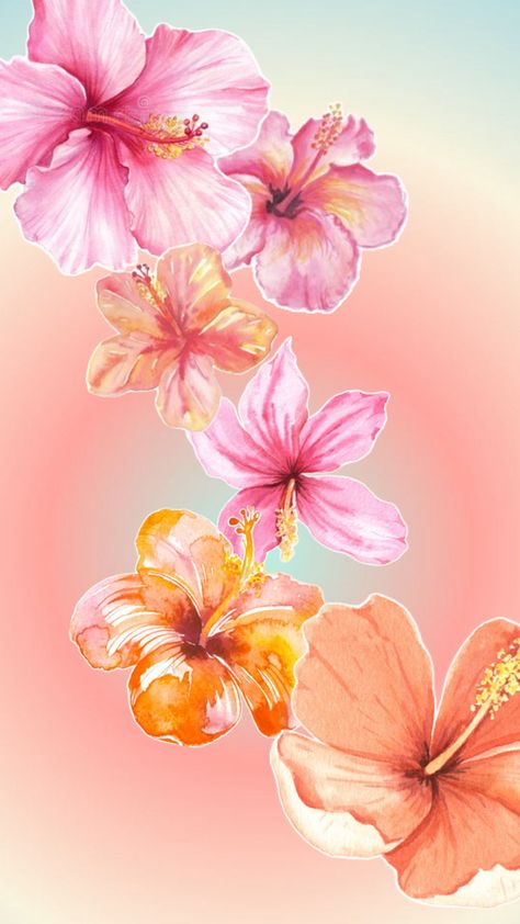 #wallpaper #hibiscus #floral #summer #aura Summer Themed Wallpaper, Summer Aura, Hibiscus Flower Drawing, Imac Wallpaper, Wallpaper Design Pattern, Cute Summer Wallpapers, Rainbow Aura, Christmas Card Art, Mood Wallpaper