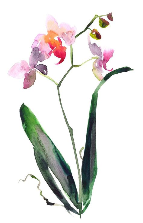 Orchid Painting, Orchids Painting, Leaves Painting, Set Of 2 Wall Art, Watercolor Flower Art, Posters Framed, Watercolor Flowers Paintings, Botanical Watercolor, Art Flowers