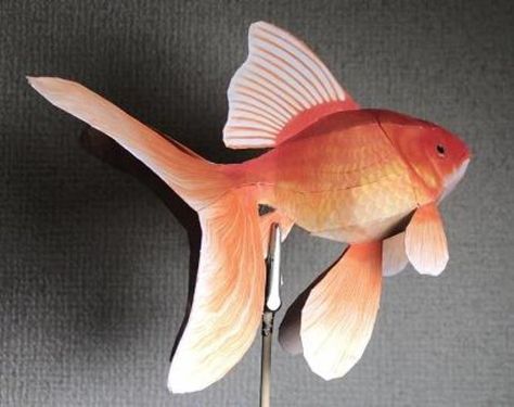 PAPERMAU: Golden Fish - A Realistic Decorative Paper Model -... Fish Template, Golden Fish, Red Brick House, Colorful Parrots, Paper Model, Decorative Paper, Medieval Castle, Red Bricks, Paper Models