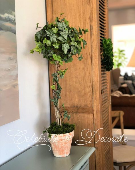 Make an Ivy Topiary - Celebrate & Decorate Ivy Topiary, Urban Gardening Ideas, Topiary Diy, Christmas Topiary, Terra Cotta Pots, Garden Obelisk, Terra Cotta Pot, Garden Shelves, Boxwood Topiary