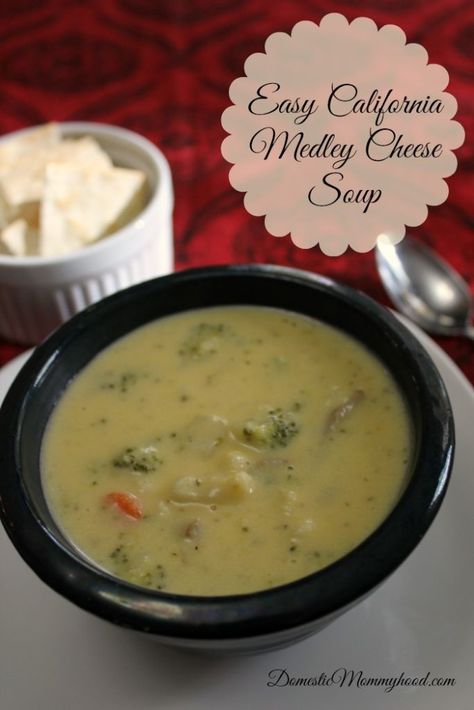 California Medley Soup Recipe, California Blend Soup, California Medley Soup, Pickle Soup Recipe, Future Restaurant, Pickle Soup, Broccoli Potato, Cheddar Broccoli, Vegetable Medley