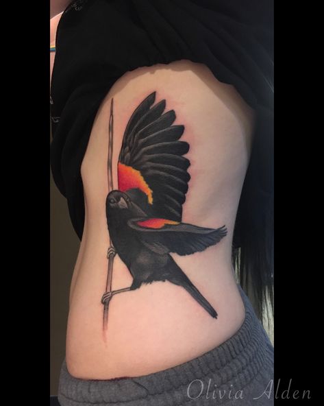 Absolutely in love with this red winged black bird side rib tattoo piece I was so lucky to get to tattoo!! Red Bird Outline Tattoo, Red Wing Blackbird Tattoo, Redwing Blackbird Tattoo, Red Bird Tattoo Black And White, Red Wing Black Bird Tattoo, Red Winged Black Bird Tattoo, Red Winged Blackbird Tattoo, Red Winged Blackbird Drawing, Side Rib Tattoo