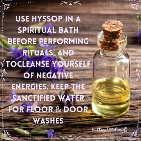 Willow Witchcraft Hyssop Witchcraft, Spiritual Cleansing Bath, Spiritual Baths, Cleansing Bath, Herbal Witch, Witchy House, Witch Tips, Witchy Tips, Spiritual Bath