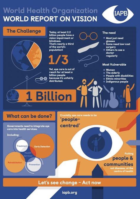 Report on Vision - Infographic Explainer - Poster 5 - A3 - IAPB Eye Care Center, Eye Hospital, Eye Center, Vision Loss, Family Doctors, November 23, Communication Design, Eye Health, Health Services