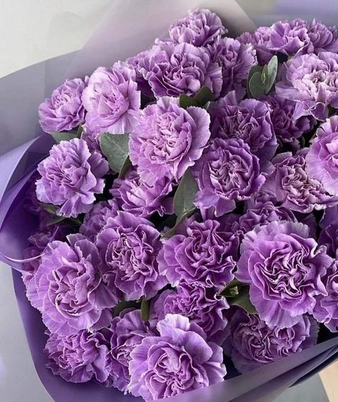 Purple Carnation Bouquet, Plumper Lips, Purple Carnations, Carnation Bouquet, Flower Boquet, Nothing But Flowers, Carnation Flower, Flower Therapy, Lavender Roses