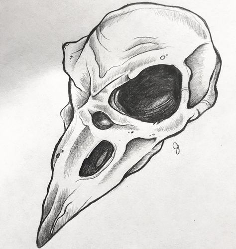 Animal Skull Drawing, Tattoo Machine Art, Scary Drawings, Horror Drawing, Skeleton Drawings, Skulls Drawing, Raven Art, Human Anatomy Art, Skull Painting