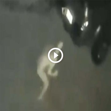 nice Check more at https://noudiv.com/watch-video-terrifying-humanoid-creature-caught-on-security-camera-at-us-home-entrance-15822/ Unidentified Flying Object, Humanoid Creatures, Mobile Camera, Home Entrance, House Entrance, Watch Video, Security Camera, Entrance, Quick Saves