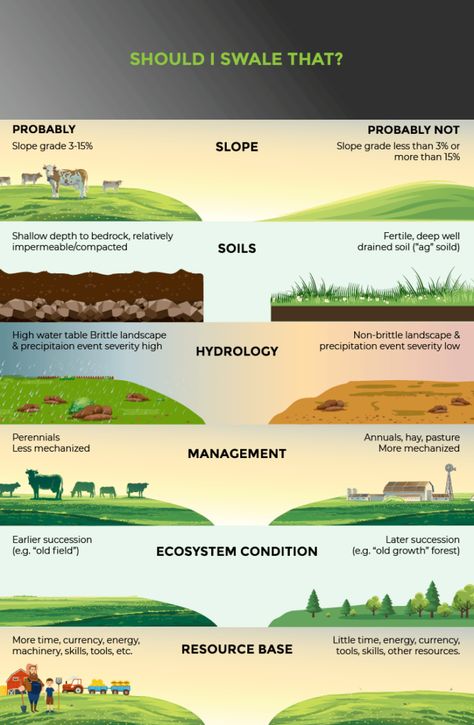 Diy Drainage Swale, Swale Drainage, Swale Garden, Keyline Design, Food Forests, Food Forest Garden, Farm Layout, Permaculture Gardening, Permaculture Design