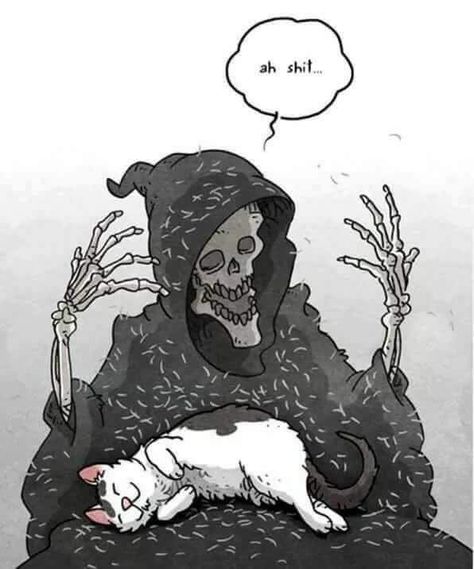 Self explanatory - 9GAG Skeleton Art, A Skeleton, Grim Reaper, Skull Art, A Drawing, Crazy Cats, Dark Art, Cat Art, A Cat