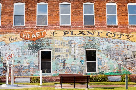 City Mural, Plant City Florida, Charleston Vacation, Plant Activities, Florida Travel Guide, Plant Window, Goat Yoga, Plant City, Florida Destinations