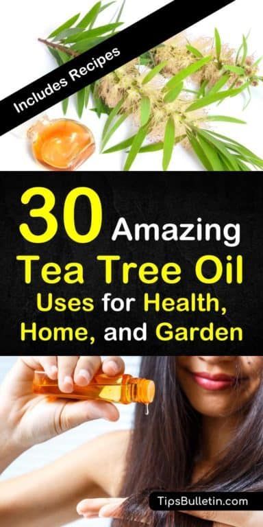 Tea Tree Oil Uses, Cleaner Recipes, Deep Cleaning Tips, Melaleuca Alternifolia, Diy Recipes, Oil Uses, Simple Life Hacks, Tree Diy, Diy Household