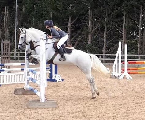 White Horse Showjumping, Grey Horse Jumping, White Horse Jumping, White Horse Aesthetic, White Horse Riding, Showjumping Aesthetic, Connemara Pony, Horse Riding Outfit, Equestrian Aesthetic