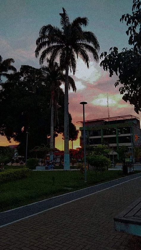 Puerto Maldonado, Lamp Post, Iphone, Guayaquil