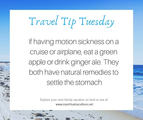 Travel Tip Tuesday Tip of the Day. Follow along for a new travel tip every Tuesday! Travel Tip Tuesday, Travel Tips With Toddlers, Singapore Travel Tips, Travel Tips Packing, Travel Tips With Baby, Travel Tuesday, Air Travel Tips, Iceland Travel Tips, European Travel Tips