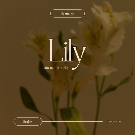 Lily /LIHL-iy/ Meaning: flower name; purity; whiteness Origin: English • derived from the Latin “lilium” • Nature; multicultural/widely used; Vintage Rank: #20 (US)(2023); #5 (England)(2022); #11 (Scotland)(2023); #5 (Ireland)(2023); #11 (Australia)(2022); #7 (New Zealand)(2023); #75 (France)(2022); #46 (Netherlands)(2023); #16 (Denmark)(2022); #32 (Belgium)(2022); #111 (Switzerland)(2022); #9 (Canada)(2022) Notable People: • Mary Jean “Lily” Tomlin, American actress and comedian • Lily... Lily Name, Ireland 2023, Lily Tomlin, Name Games, Flower Names, American Actress, Comedians, Aesthetic Wallpapers, Scotland