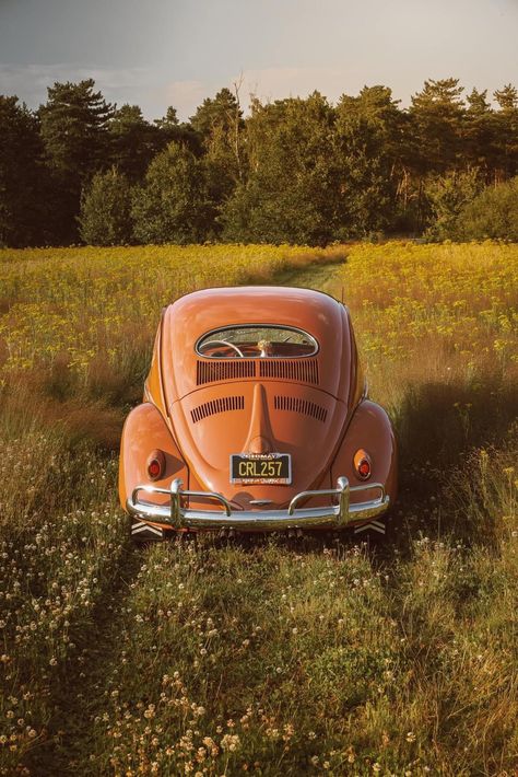 Old Vw Beetles, Volkswagen Beetle Aesthetic Wallpaper, Vw Beetle Aesthetic, Orange Vw Beetle, Vintage Vw Beetle Aesthetic, Bettle Volkswagen Aesthetic, Aesthetic Beatle Car, Volkswagen Beetle Vintage, Old Vintage Cars