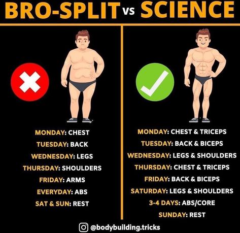 Bro Split, Man Workout, Gym Bodybuilder, Exercise For Men, Workout Plan For Men, Bodybuilding Program, Workout Training Programs, Lack Of Energy, Sport Lifestyle