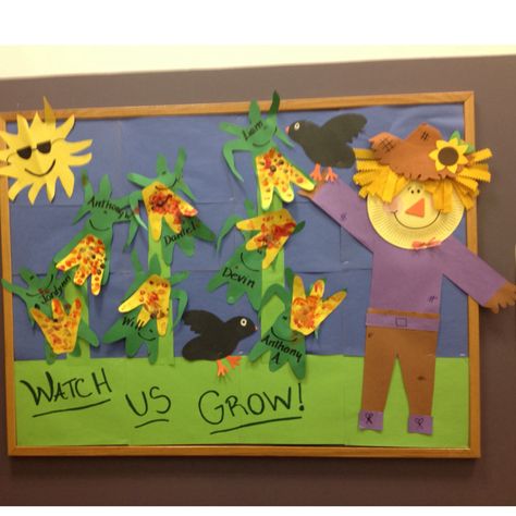 Scare Crow Bulletin Board, Corn Bulletin Board Ideas, Scarecrow Bulletin Board Ideas Preschool, Dino Crafts, Dino Craft, Diy Scarecrow, Craft Preschool, Door Projects, Weather Crafts