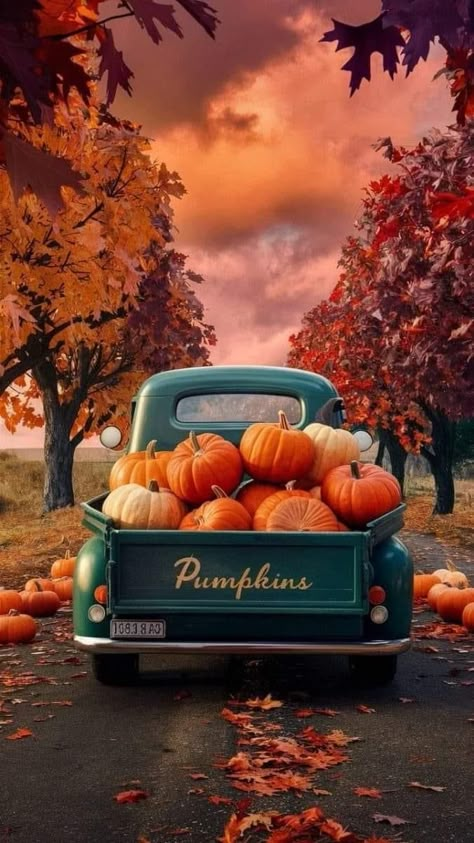 Summer To Fall Background, Fall Phone Widget Aesthetic, Autumn Aesthetic Cozy Wallpaper, Halloween Wallpaper Backgrounds Vintage, Fall Truck Wallpaper, Colorful Halloween Wallpaper, Vintage Fall Backgrounds Iphone, Live Screen Wallpaper Iphone, Pumpkin Screensaver